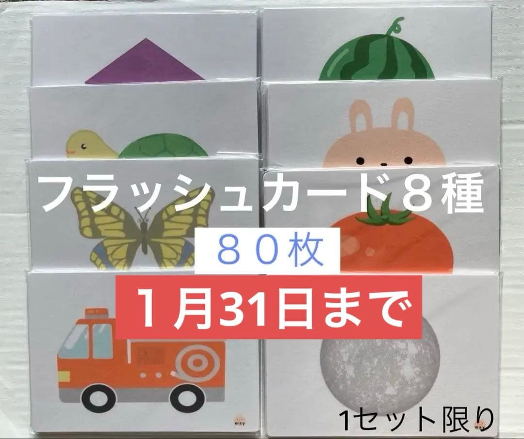 1/31まで◆翌日発送　新春お得セット★1セット限り★A6フラッシュカード８種