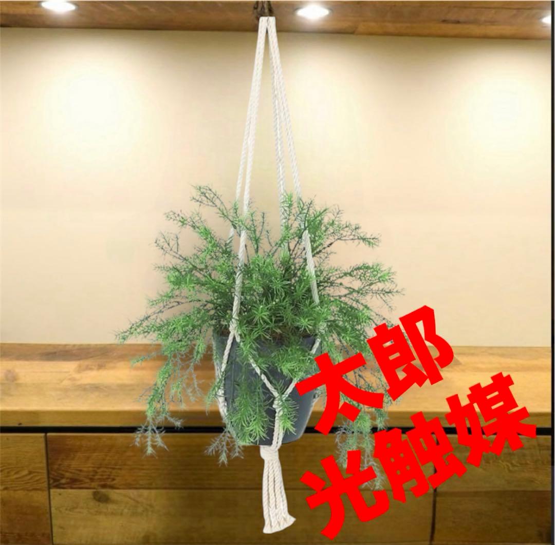 光触媒　人工観葉植物　ウォールグリーン　フェイクグリーン　壁掛けスプレンゲリー