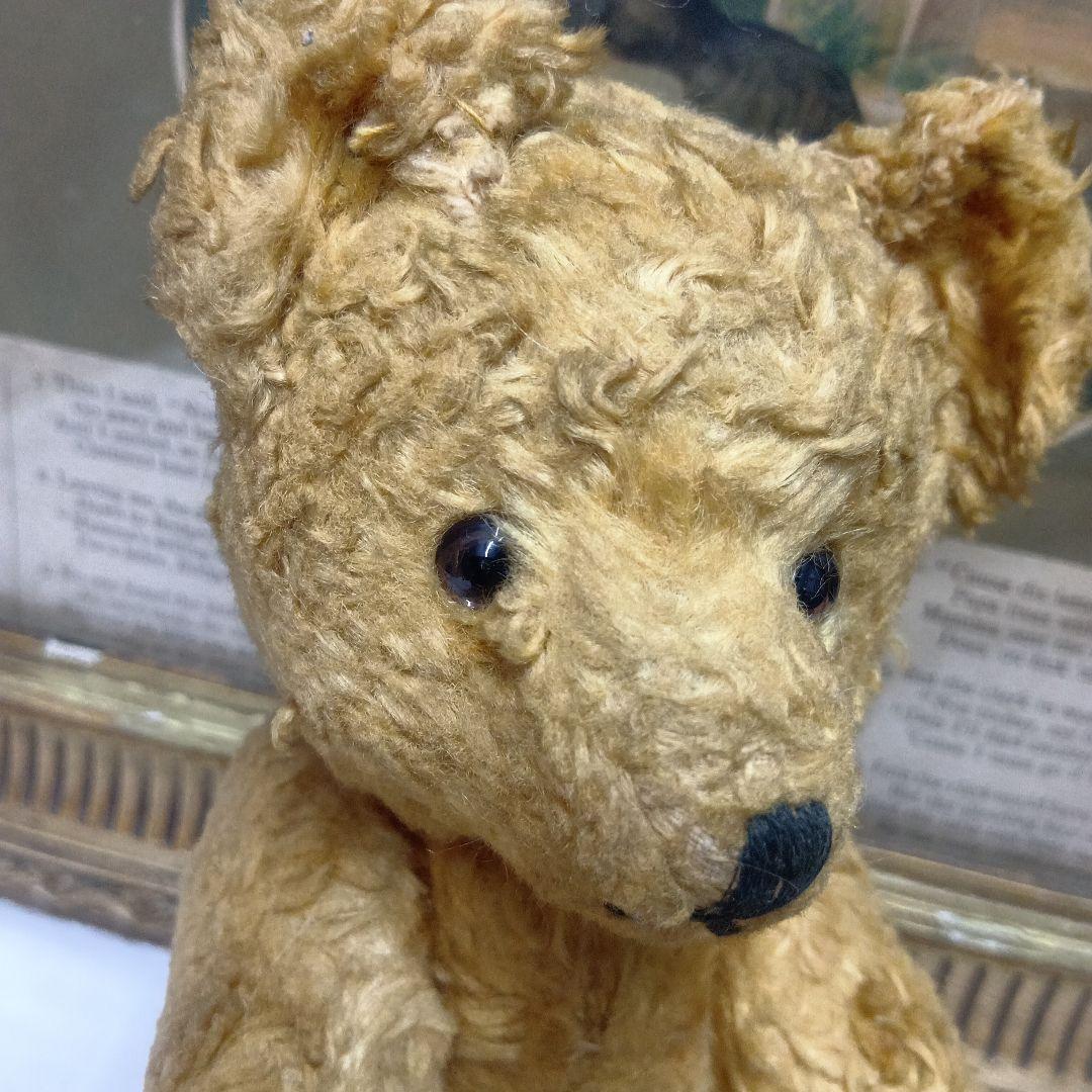 ♥ドイツからやって来た優しいお顔の　アンティーク　テディベア♥