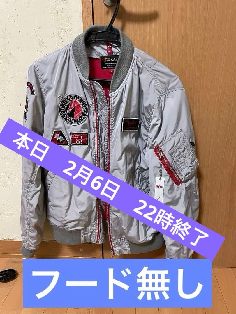 STRICT-G × ALPHA バナージ・リンクス”モデル、フード無し❗️