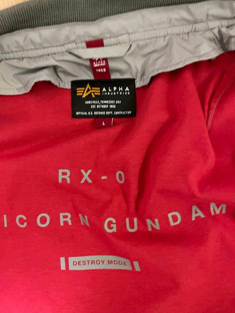 STRICT-G × ALPHA バナージ・リンクス”モデル、フード無し❗️