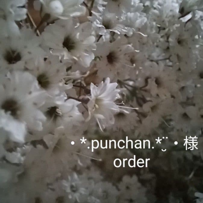 新品 未使用 ドライフラワー リース 窓枠 フレーム 額縁 インテリア 雑貨