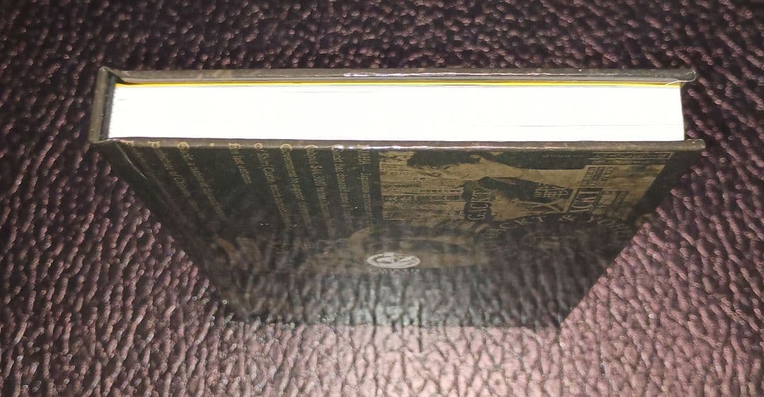 GACKTの言葉 公式海賊版DVD　NORTH VILLAGE