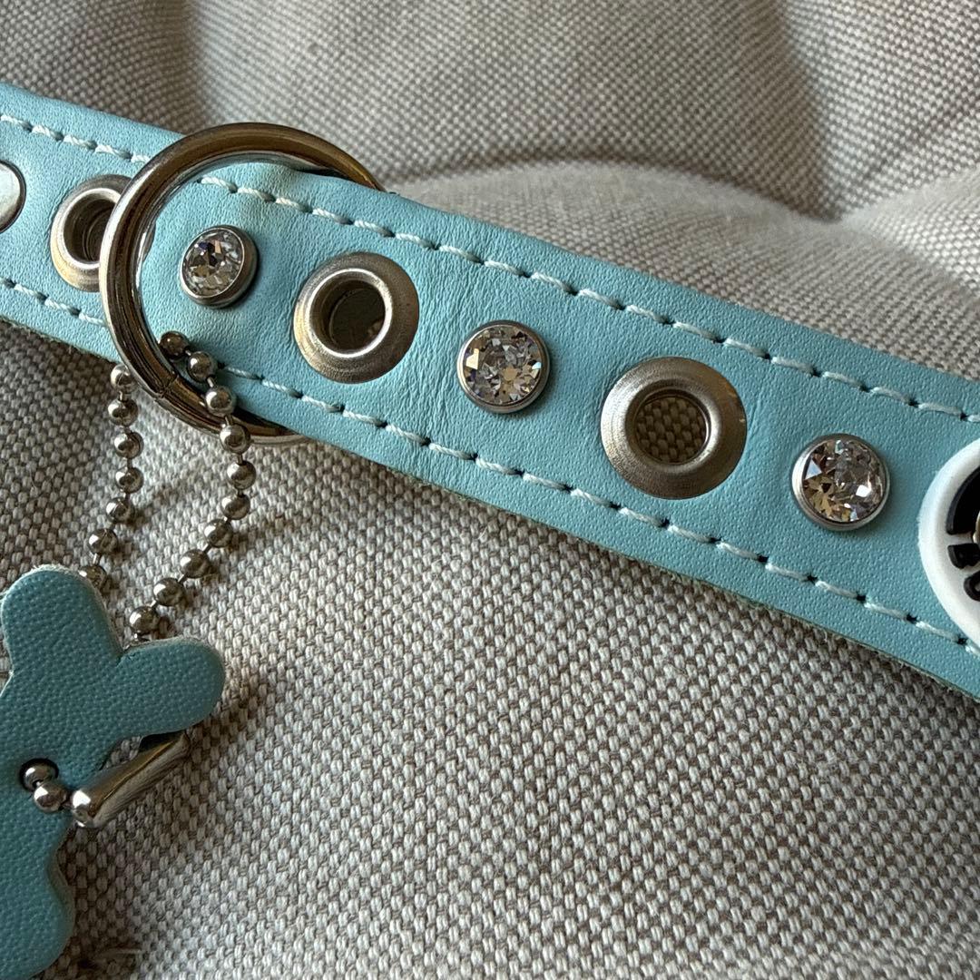 試着のみ☆BUDDY BELTSバディーベルト4号