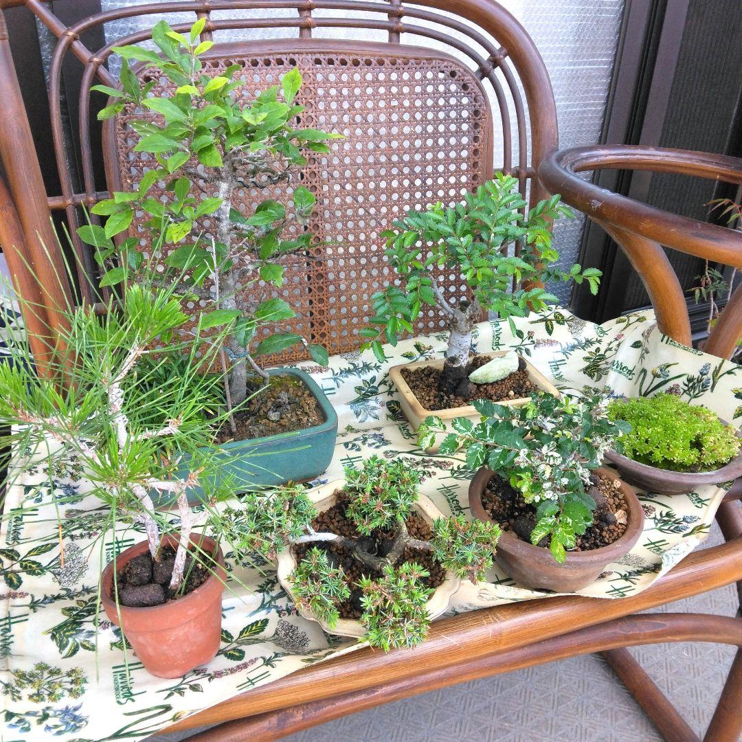 プランタースタンド　サイドテーブル付き