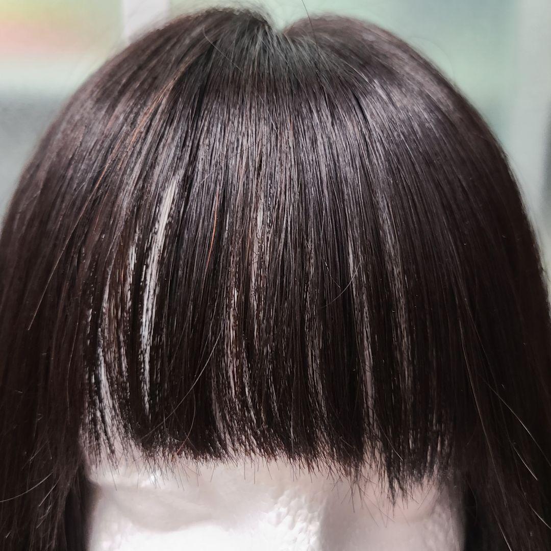 人毛100％　ロングウィッグ　ストレート　ナチュラルブラック