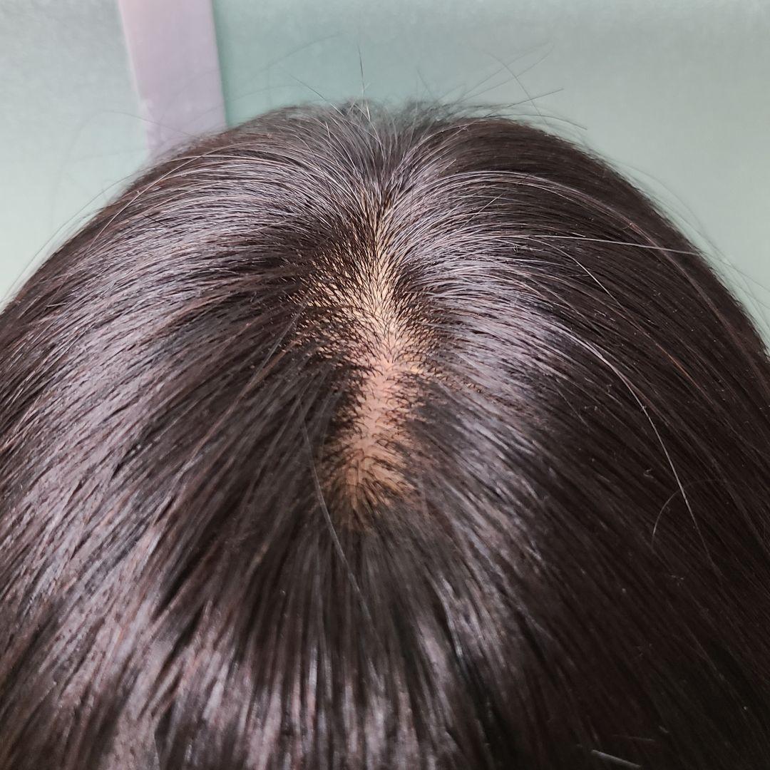 人毛100％　ロングウィッグ　ストレート　ナチュラルブラック