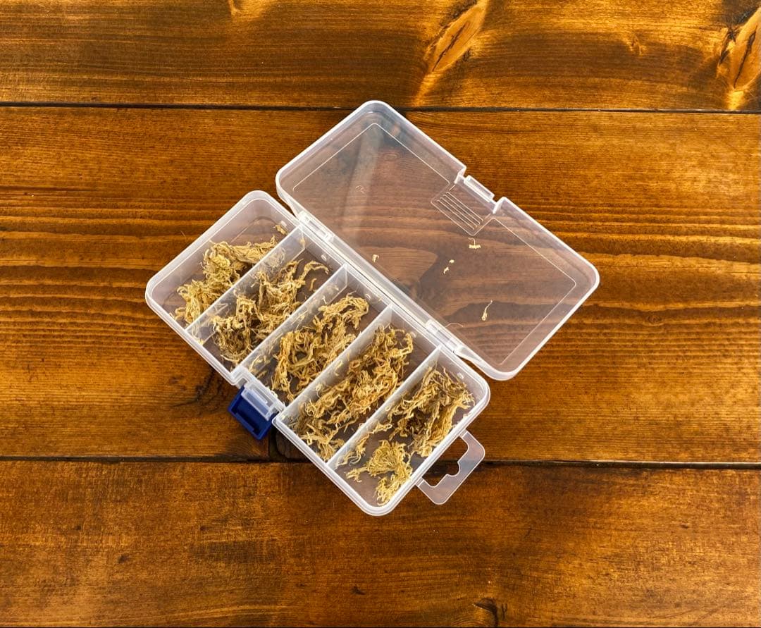 クワガタ採集セット　掻き出し棒　ライト付き　デジタルノギス　懐中電灯　採集ケース