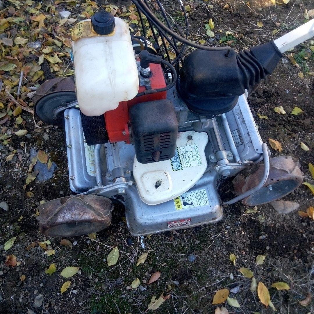 スパイダルモア