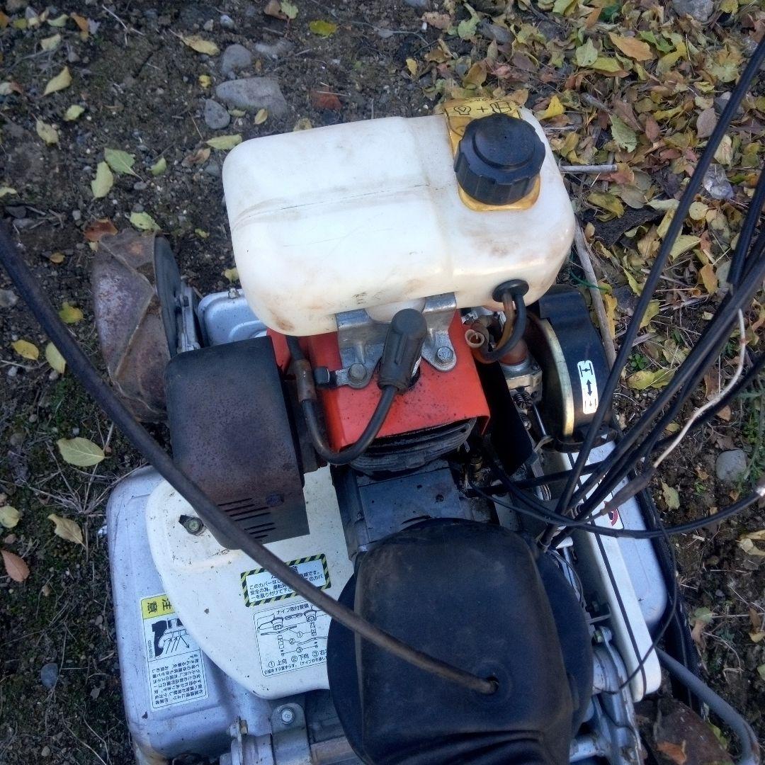 スパイダルモア