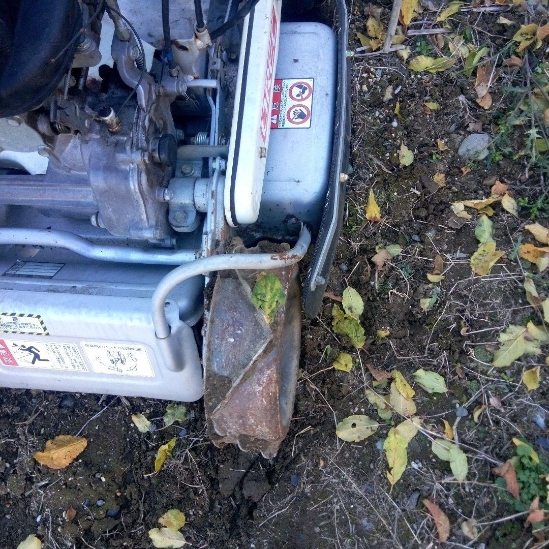 スパイダルモア