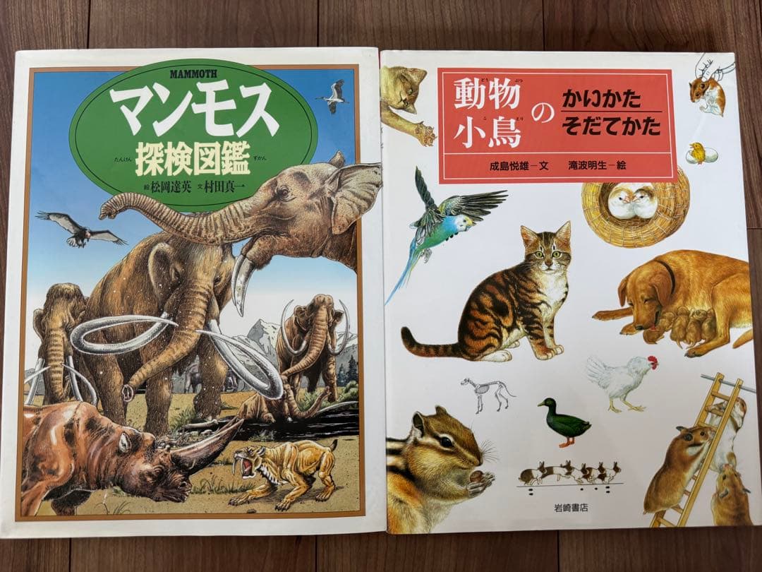 岩崎書店　絵本図鑑シリーズ　全３１巻