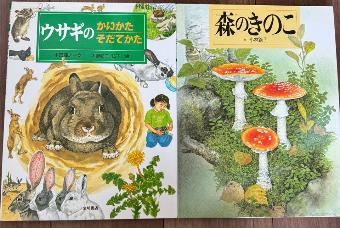 岩崎書店　絵本図鑑シリーズ　全３１巻