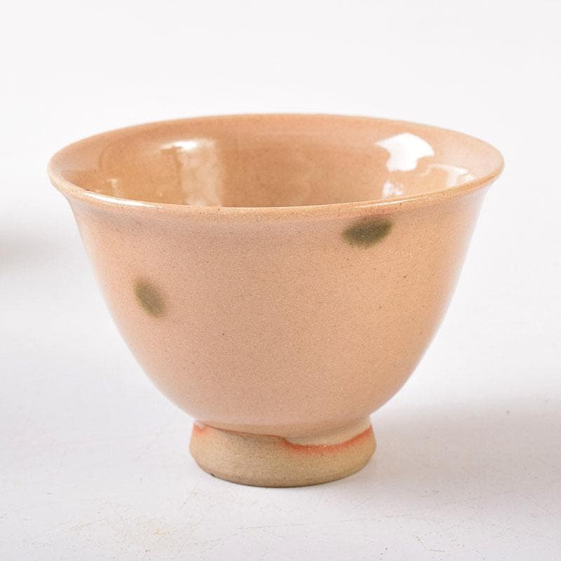 煎茶道具　虫明焼　煎茶器　5客　時代箱　V　8257