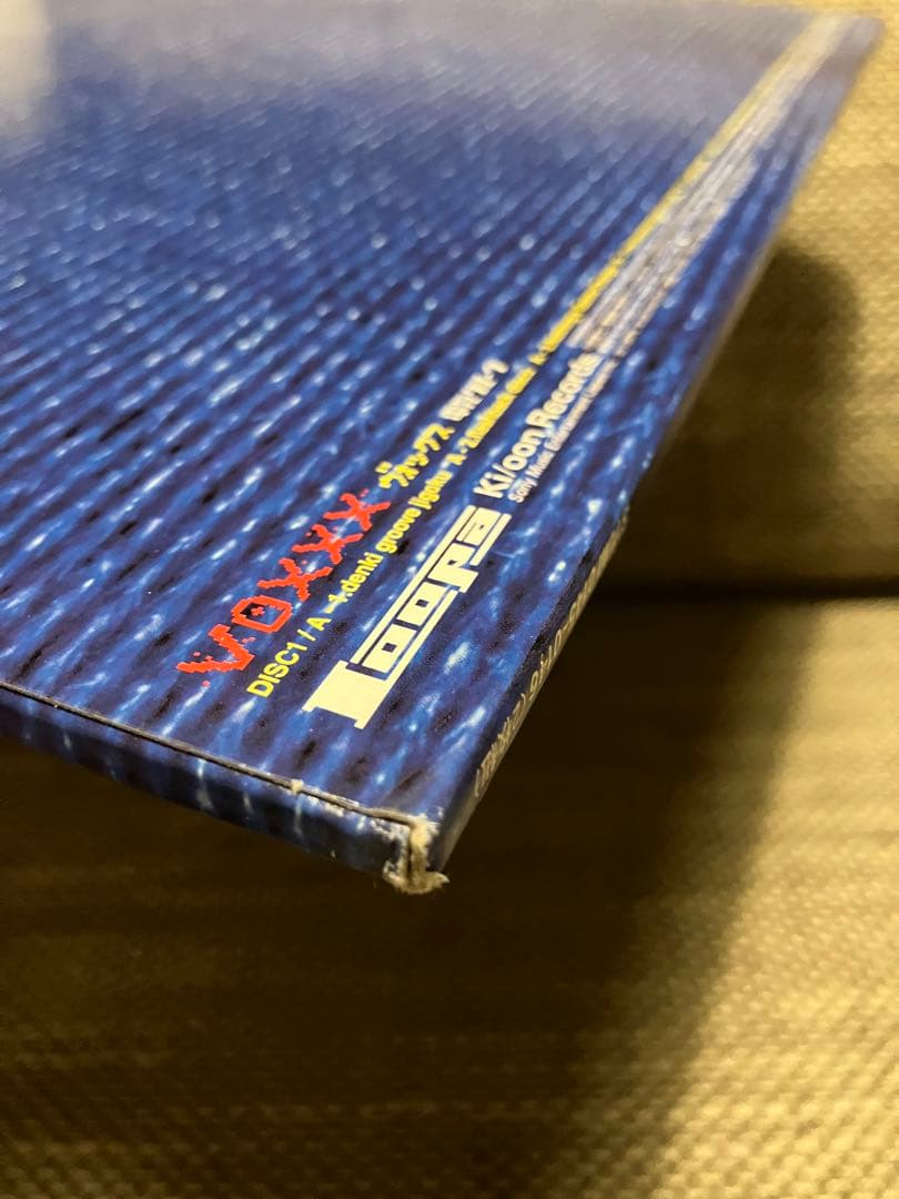 電気グルーヴ DENKI GROOVE VOXXX 2LP oasis blur