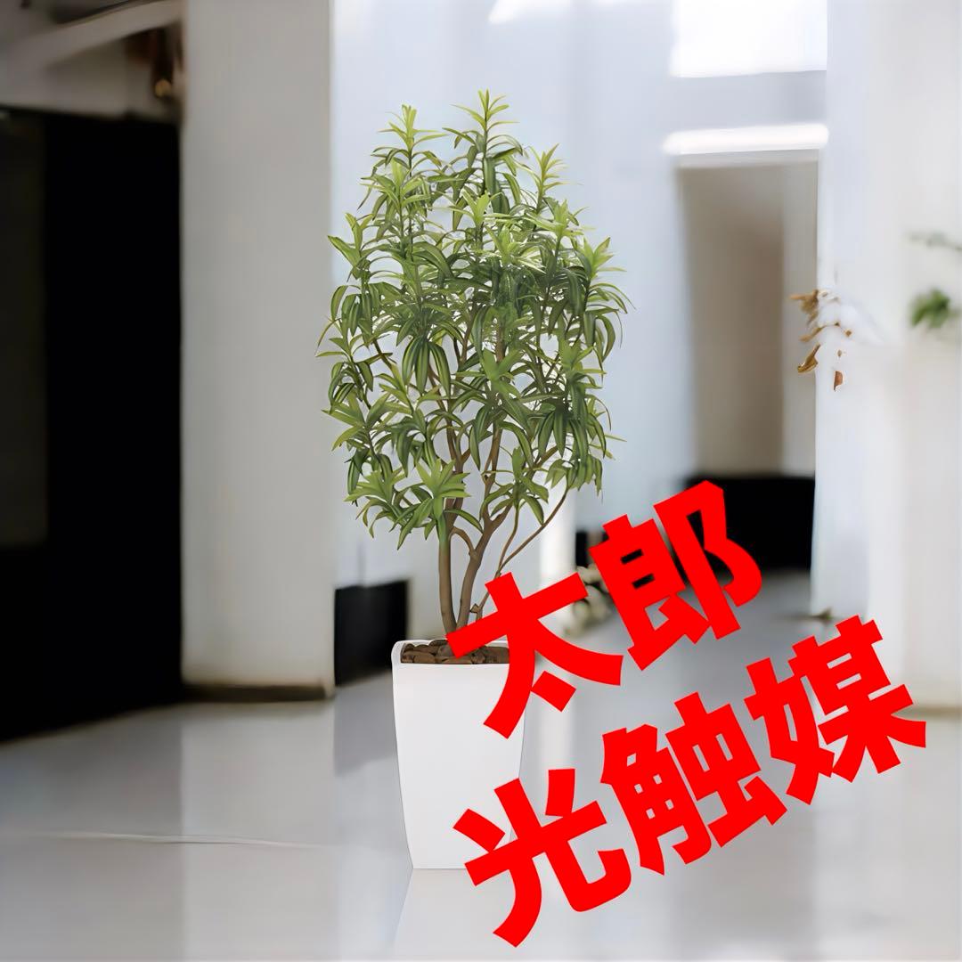 光触媒　人工観葉植物　フェイクグリーン　フレッシュドラセナW1.8m