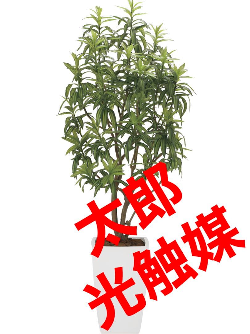 光触媒　人工観葉植物　フェイクグリーン　フレッシュドラセナW1.8m