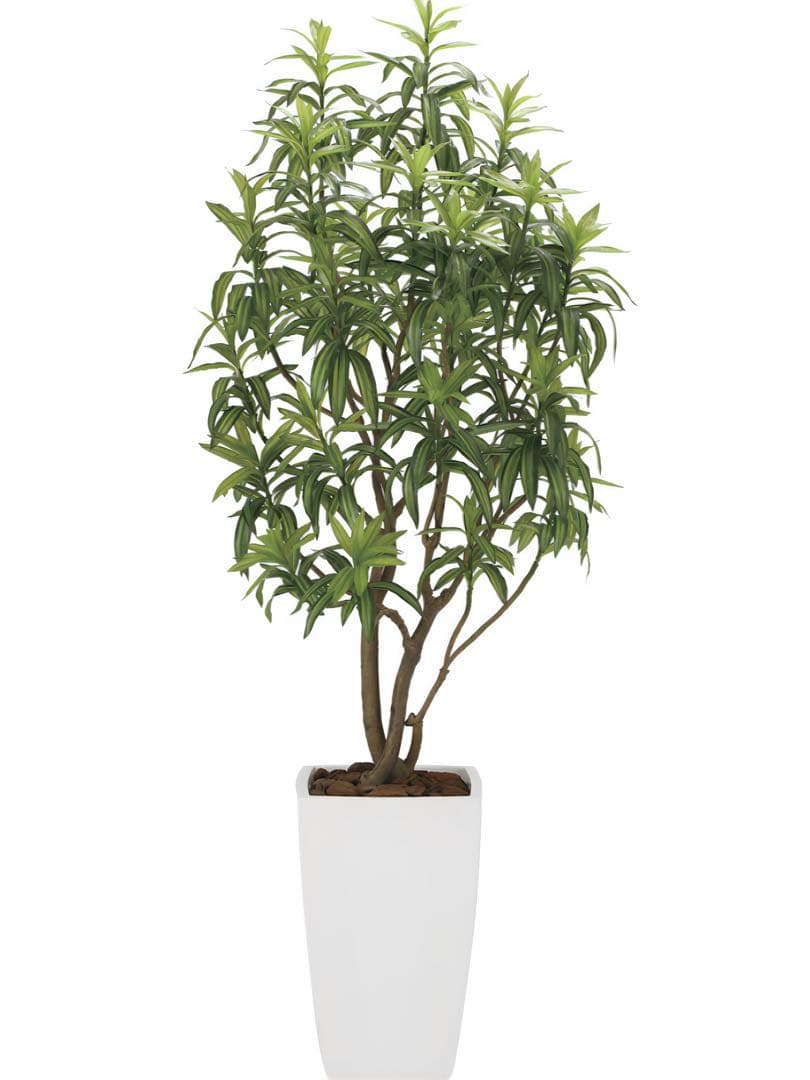 光触媒　人工観葉植物　フェイクグリーン　フレッシュドラセナW1.8m