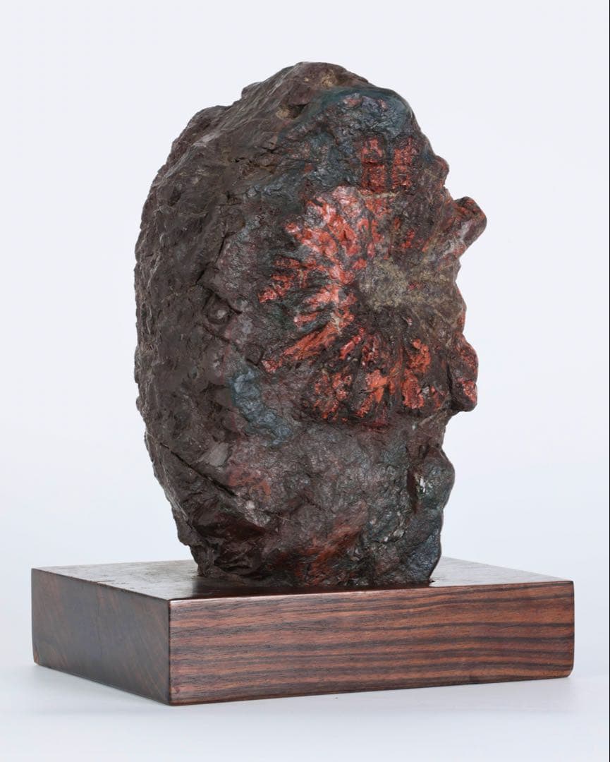 菊花石 赤花 大輪 台座付 5.2kg 原石 天然石 鑑賞石 水石 盆石 紋石