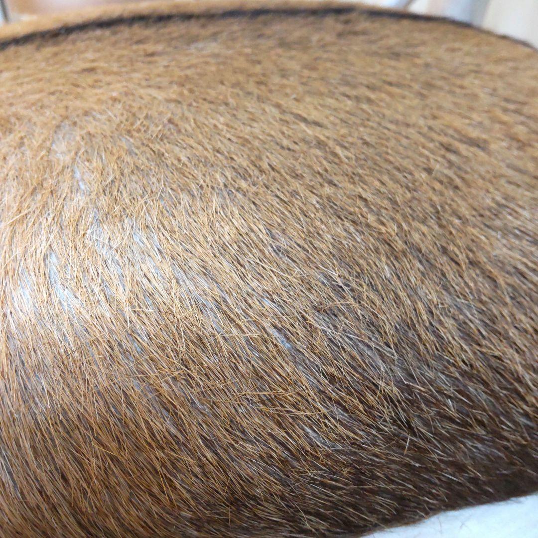 (美品)ハラコ チェア 毛皮 椅子 スツール 天然木 本革