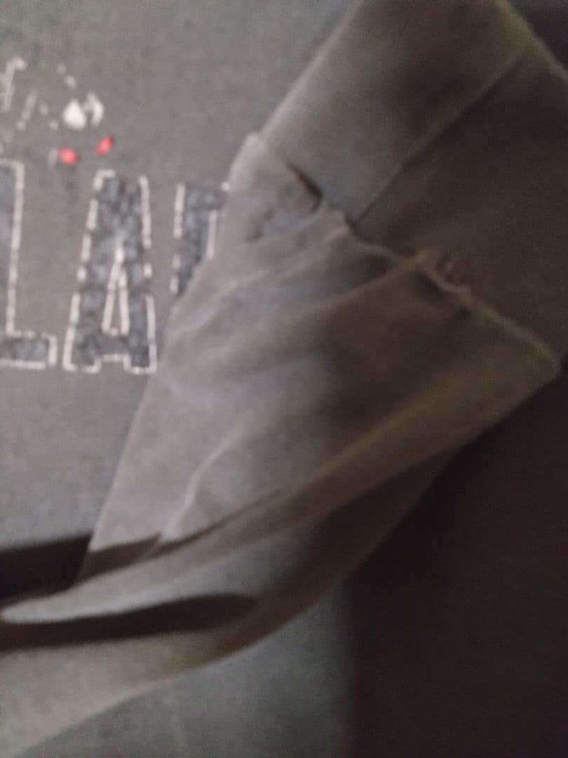 プ*ニ様 greatLAnd original spider 10YEARS X