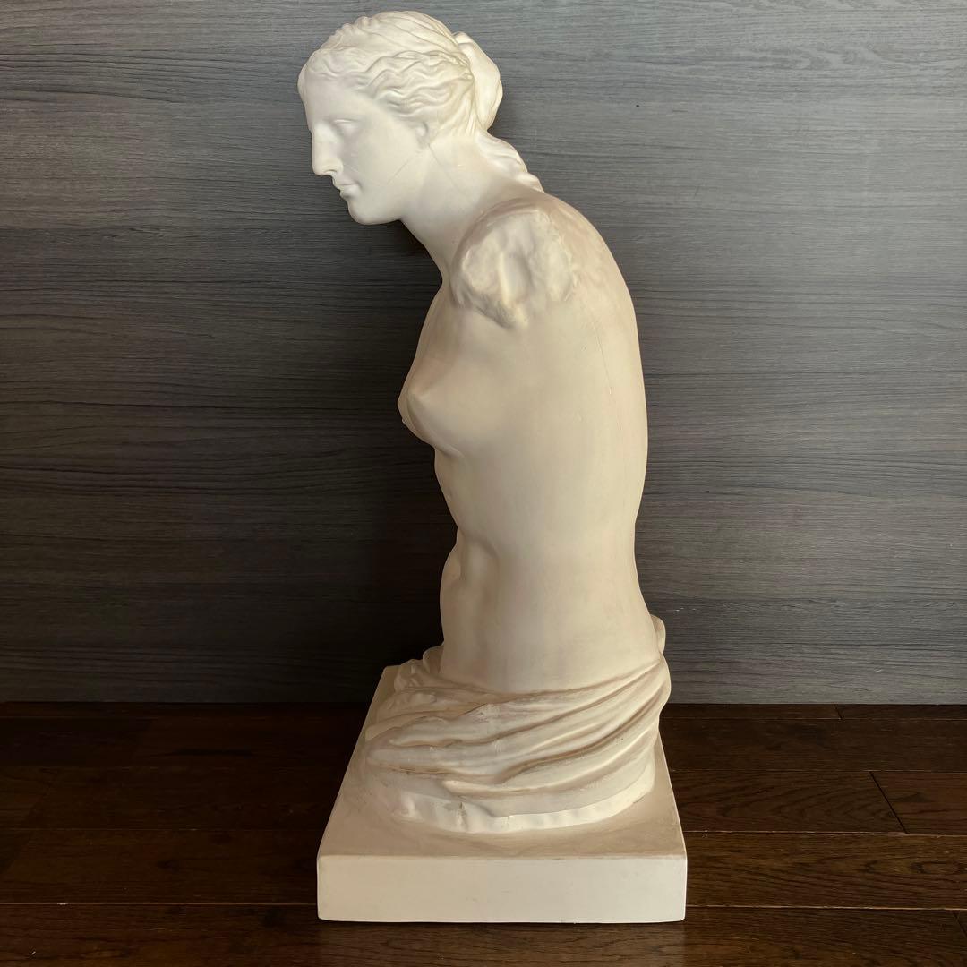 石膏像　ミロのヴィーナス　半身像