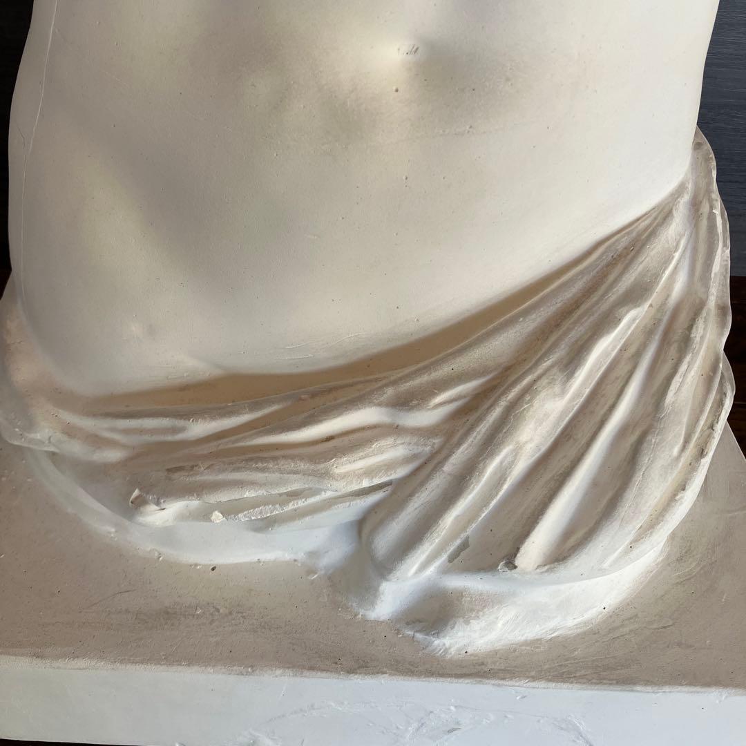 石膏像　ミロのヴィーナス　半身像