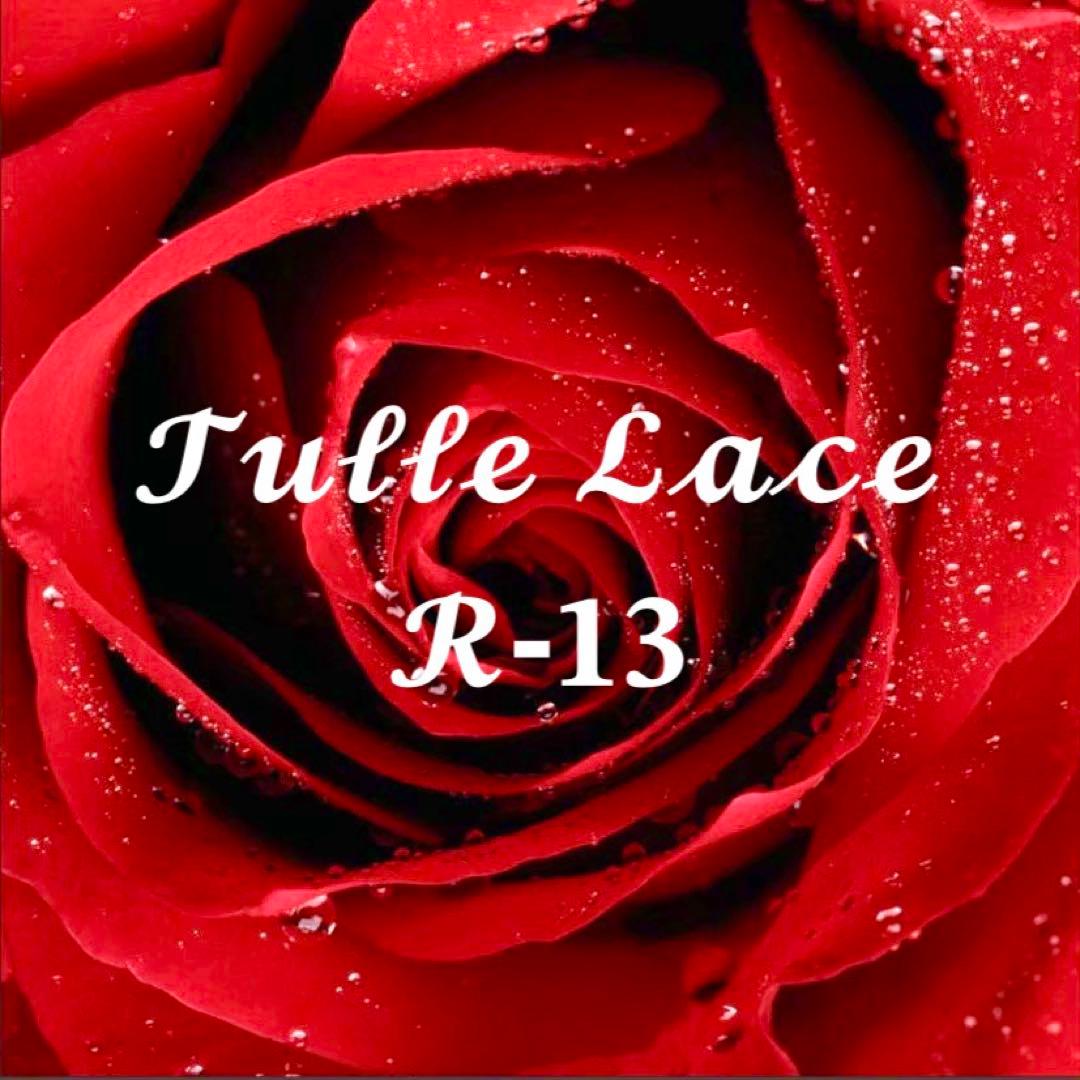 チュールレース一覧 R-13