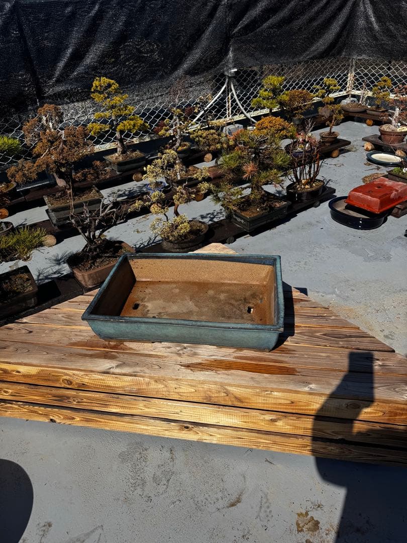 青色 陶器製 盆栽用鉢 22号