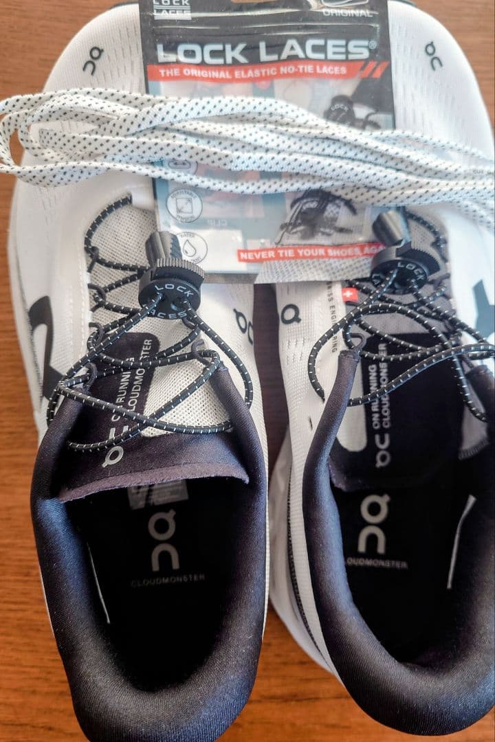 On Cloudmonster2　クラウドモンスター2（ 27.0cm）