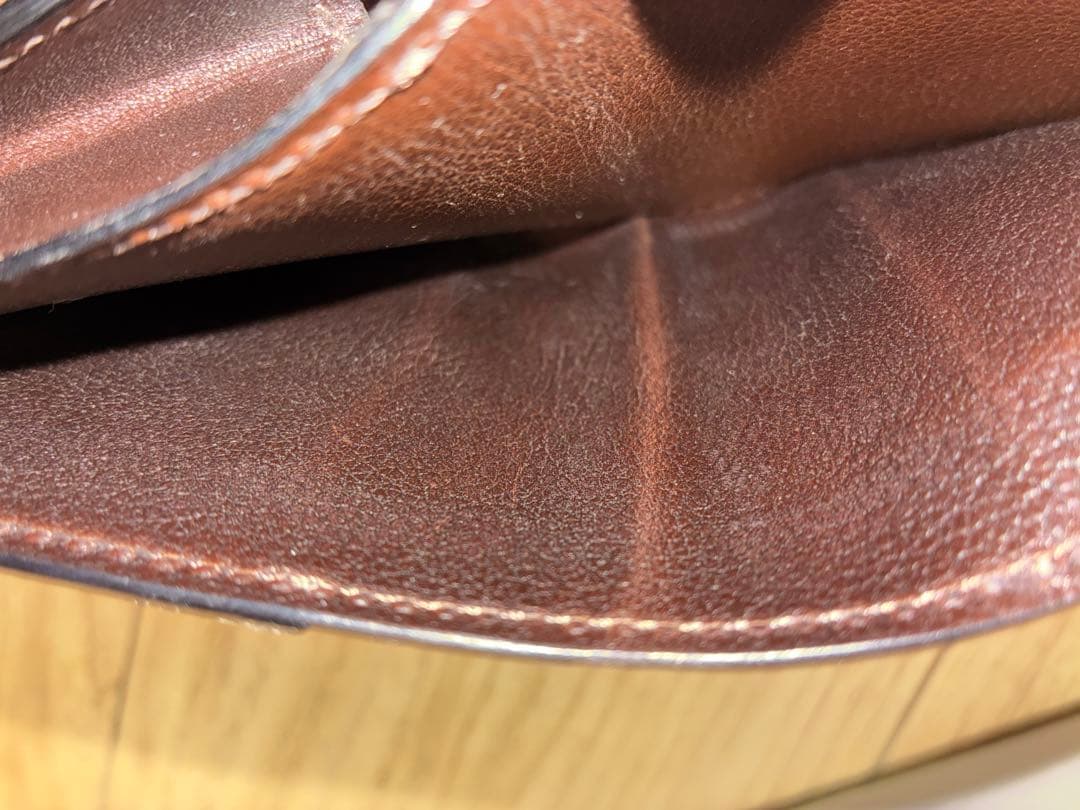 ワイルドスワンズ　CROCODILE / PALM-V2 チョコ