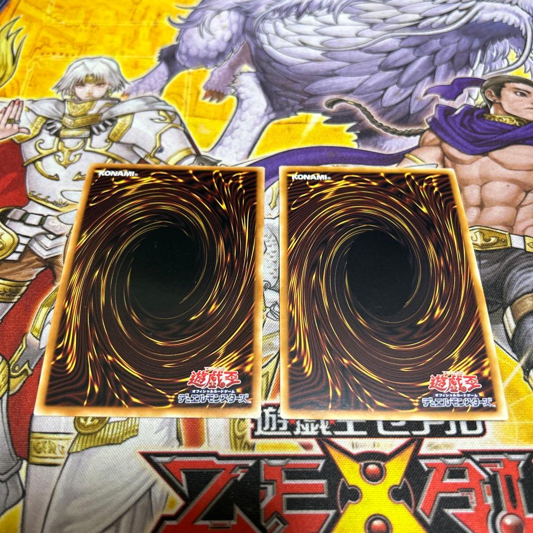 テラナイト　アジアシク　セット