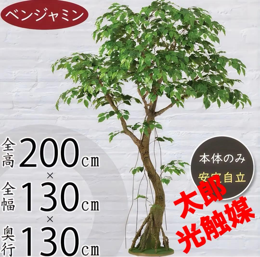 光触媒　人工観葉植物　フェイクグリーン　ベンジャミナスプラッシュコアッド