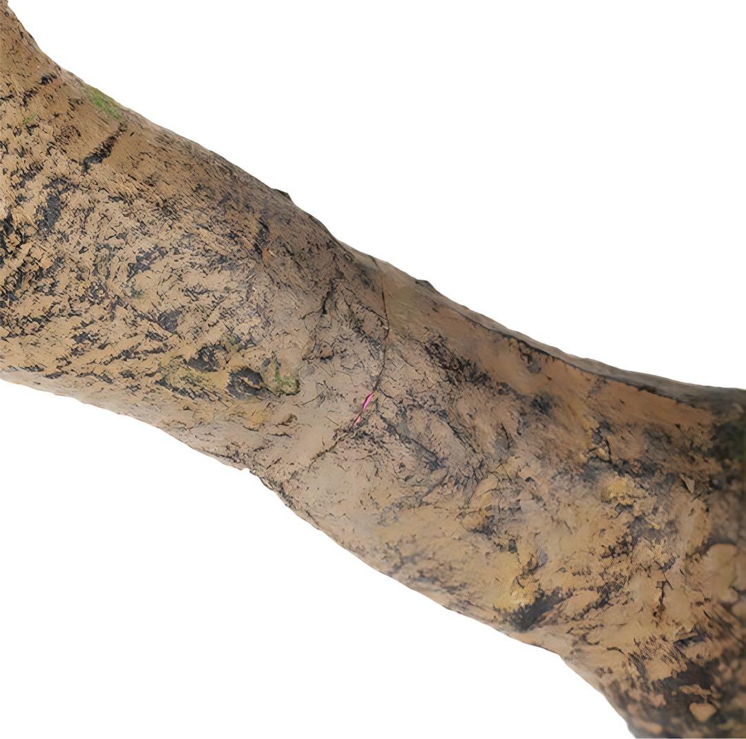 光触媒　人工観葉植物　フェイクグリーン　ベンジャミナスプラッシュコアッド