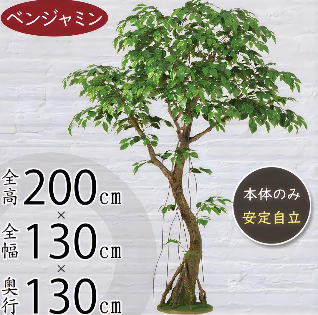 光触媒　人工観葉植物　フェイクグリーン　ベンジャミナスプラッシュコアッド