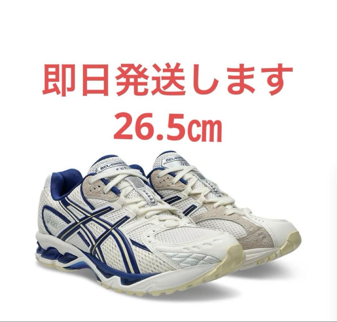 新品未使用　26.5㎝　asics GEL-NIMBUS 10.1　× END.