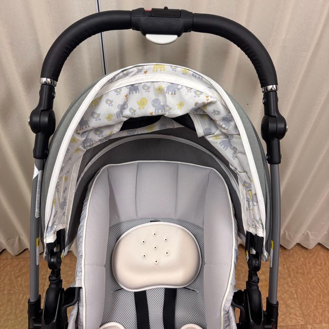 ◆　マリです。　◆