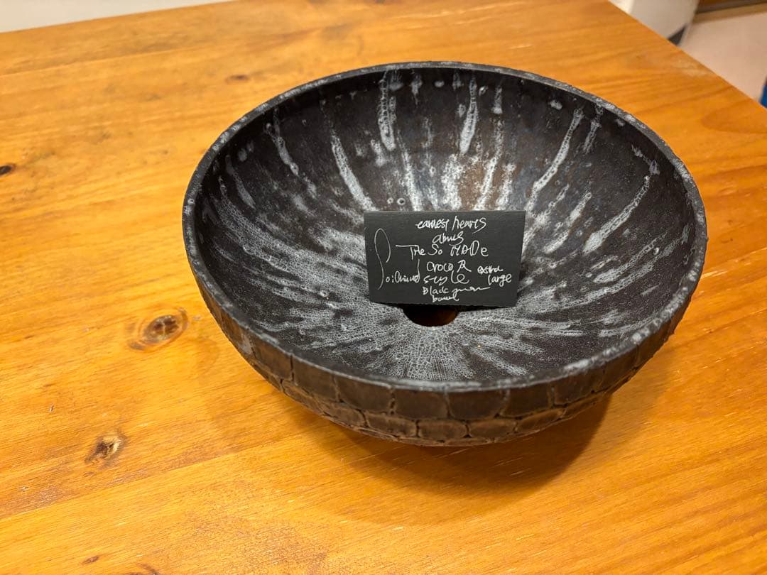 earnest hearts 検】アーネストハーツ　鉢　パキプス 塊根植物