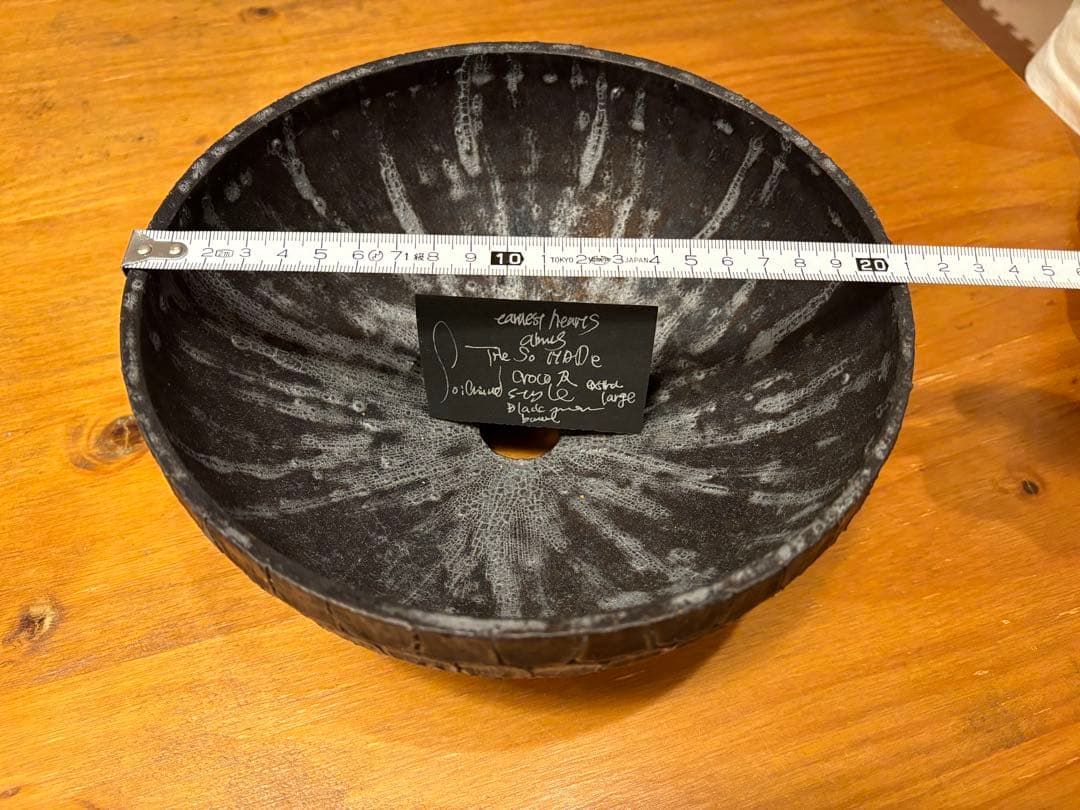 earnest hearts 検】アーネストハーツ　鉢　パキプス 塊根植物