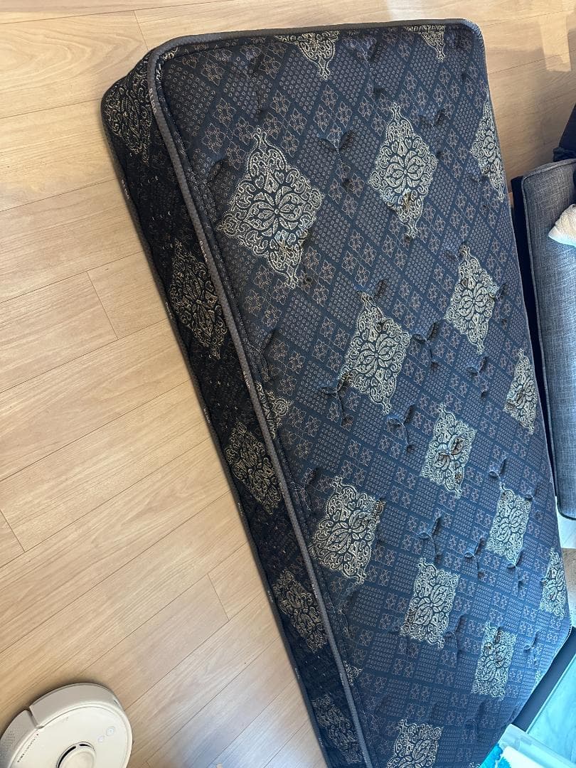 サータ　トラディション PS シングル