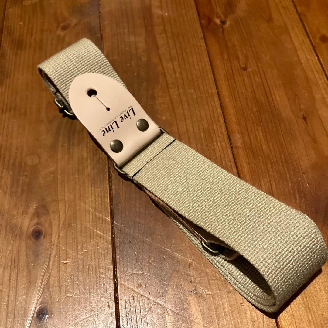 ギター Fender Player Plus Stratocaster