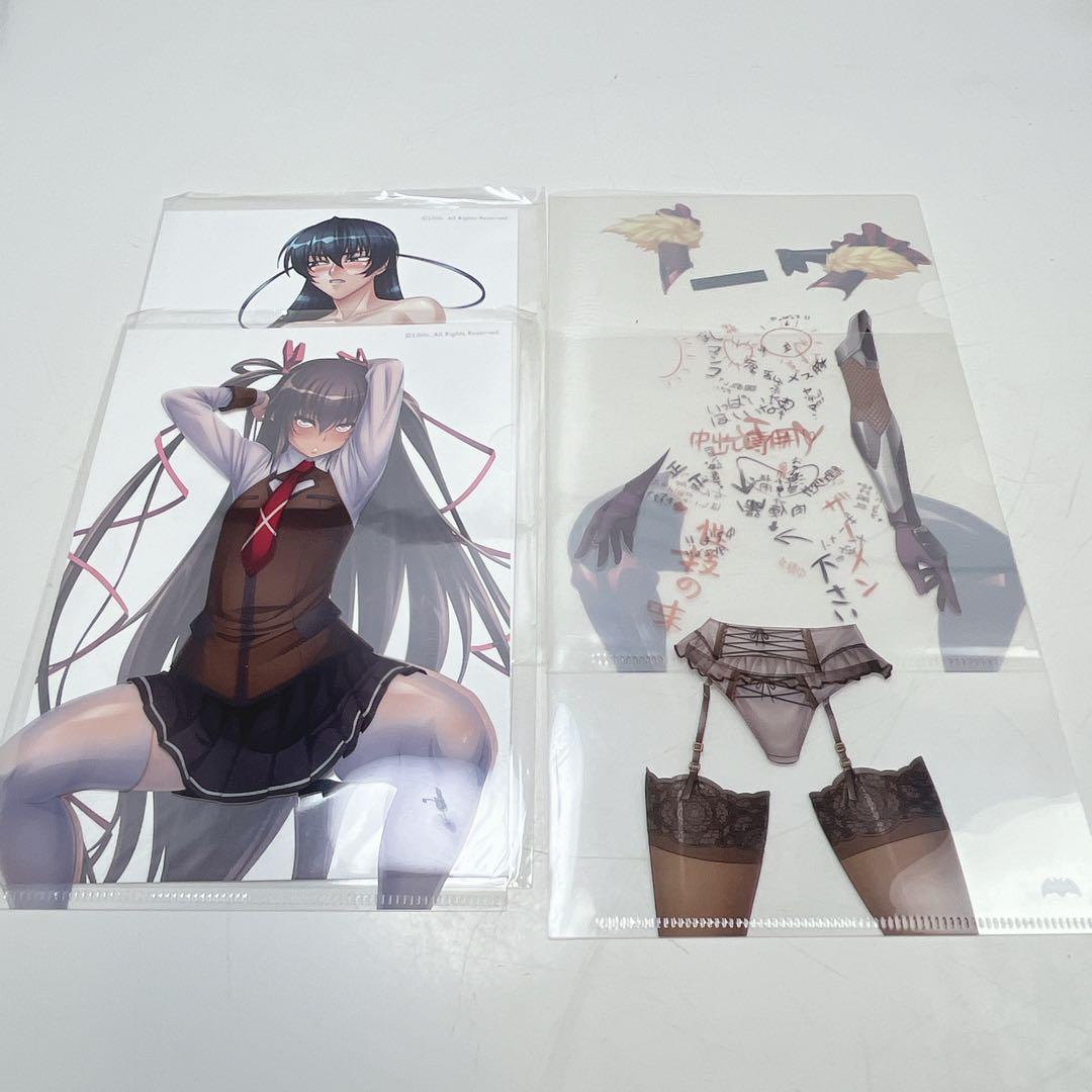 CH2582 対魔忍 ユキカゼ&アサギ　ミニクリアファイルセット