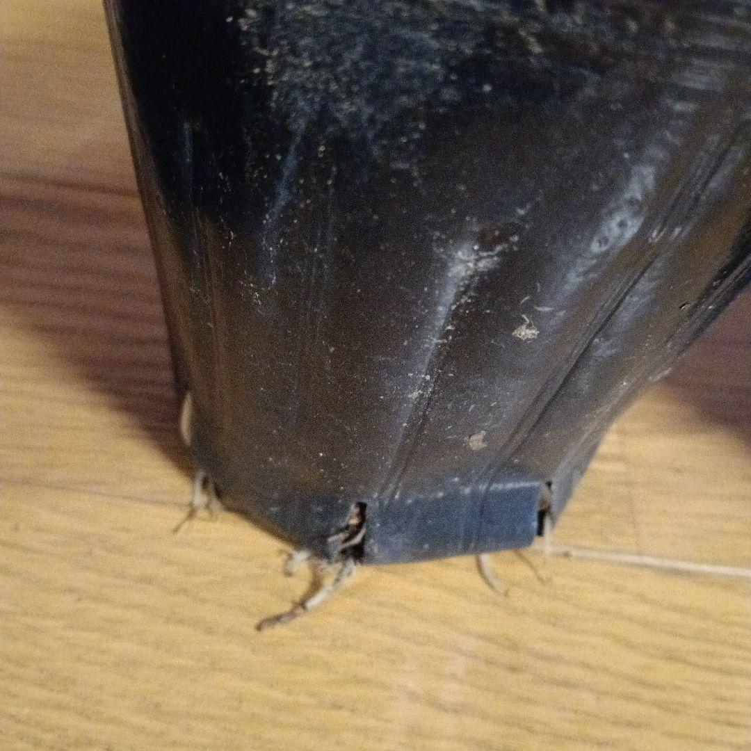 ラナンキュラスラックス 芽出し苗 6種セット！⑪