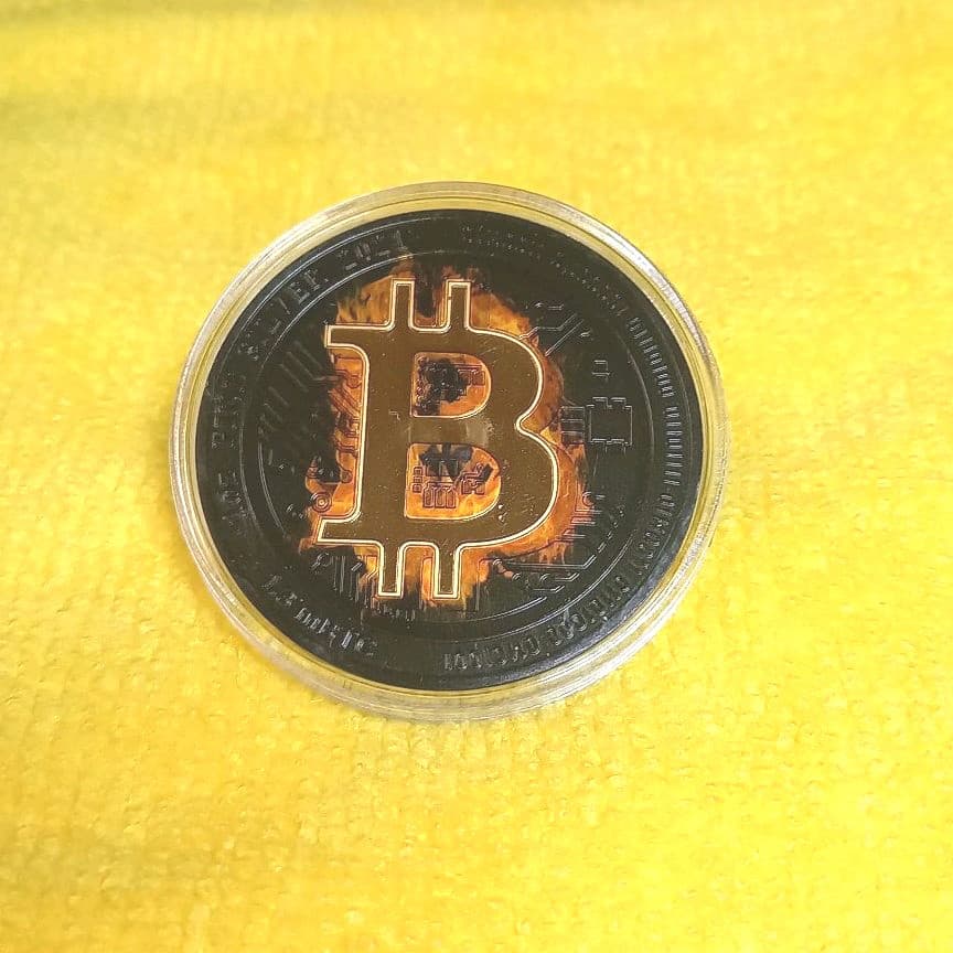 ニウエピュアシルバーブラップラチナビット　世界限定100