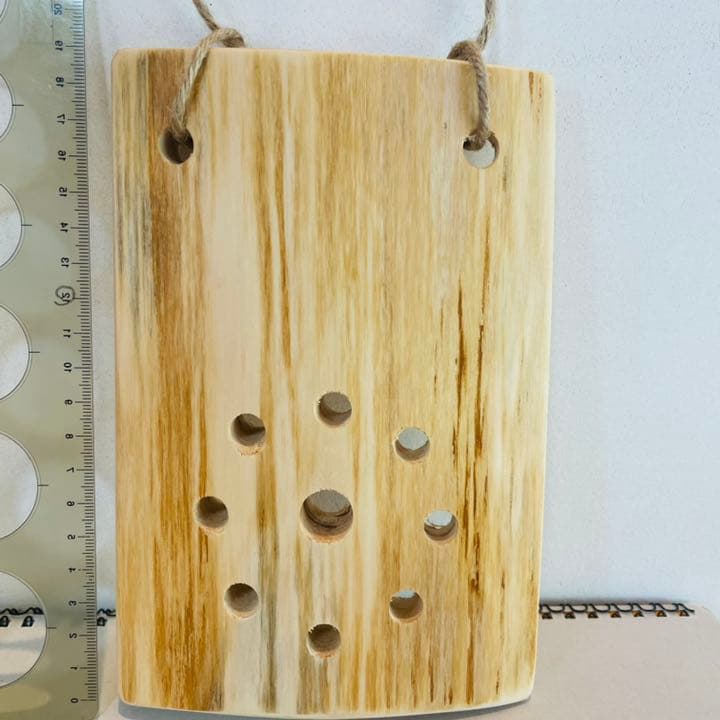 着生板   ビカクシダプレート 木曽檜板   檜  コウモリラン   着生植物