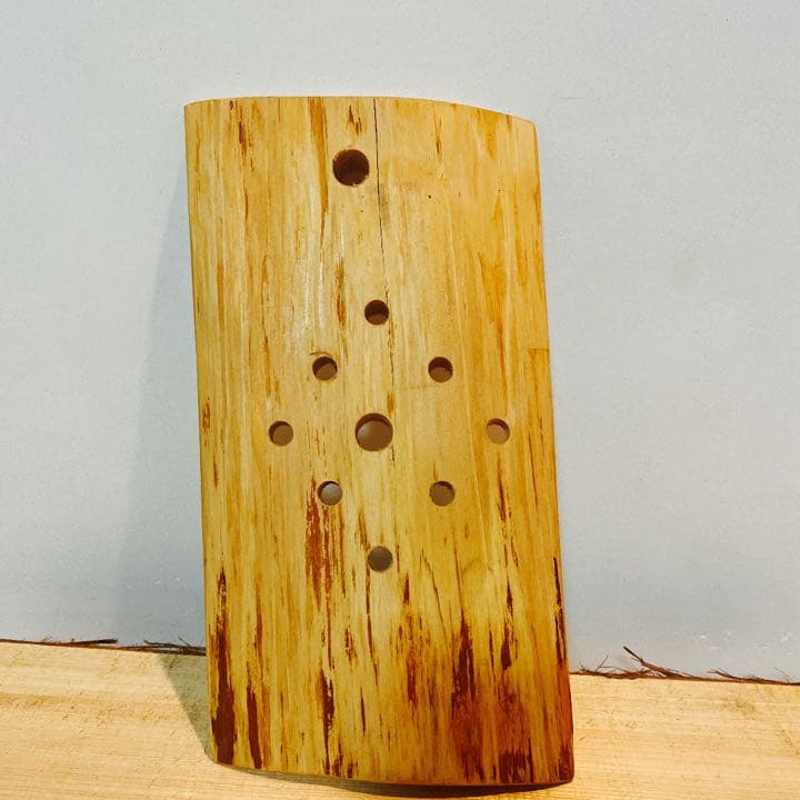 着生板   ビカクシダプレート 木曽檜板   檜  コウモリラン   着生植物