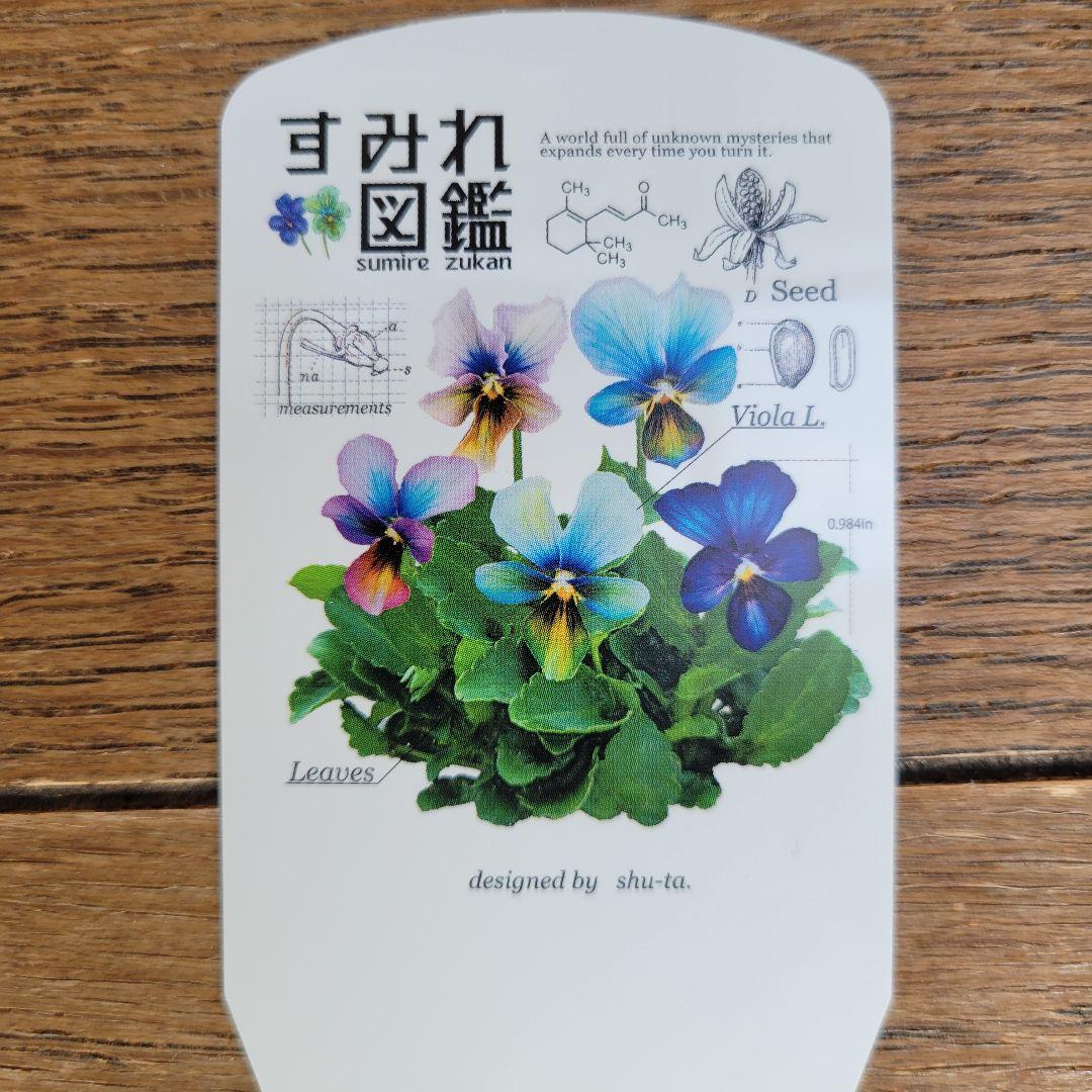 すみれ図鑑①虹色ブルー系