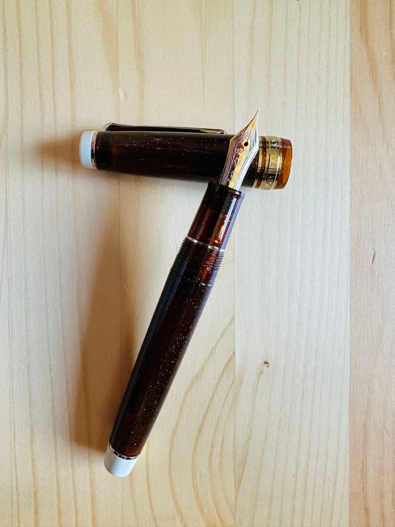 【Sailor 万年筆】カクテルシリーズ 「ブラックベルベット」F 未使用