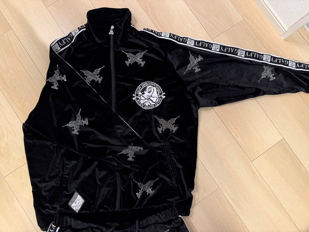 早い者勝ち ガルフィー ピカピカ注射器セットアップ　大型犬