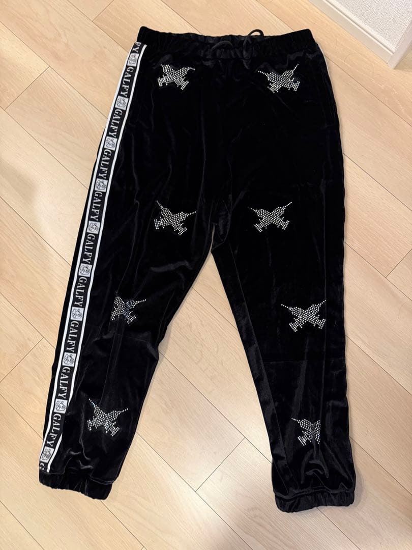 早い者勝ち ガルフィー ピカピカ注射器セットアップ　大型犬